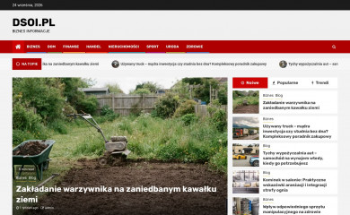 dsoi.pl screenshot