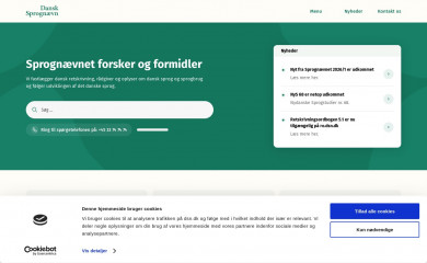 dsn.dk screenshot
