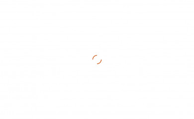 dssfzllc.com screenshot