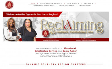 dstsouthernregion.com screenshot