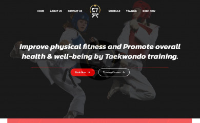 e7martialarts.com.au screenshot