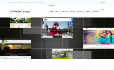 e-mediaconcept.de screenshot