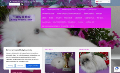 e-teddy.pl screenshot