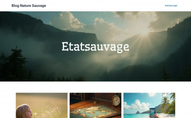 etatsauvage.fr screenshot