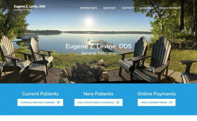 eugenezlevindds.com screenshot