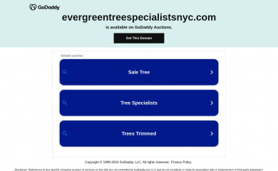 evergreentreespecialistsnyc.com screenshot