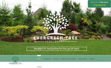 evergreentreespecialistsnyc.com screenshot