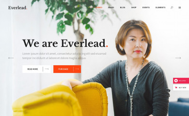 http://everlead.mikado-themes.com screenshot