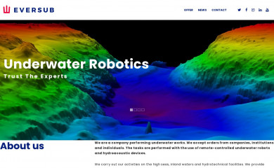 eversub.com screenshot