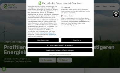 evigo.energy screenshot