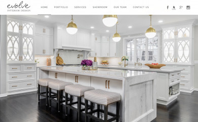 evolveid.co screenshot