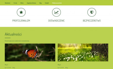 ewik.com.pl screenshot