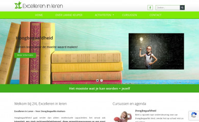 excelleren-in-leren.nl screenshot