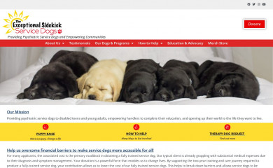 exceptionalsidekick.org screenshot