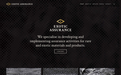 exoticassurance.com screenshot