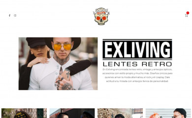 exliving.cl screenshot