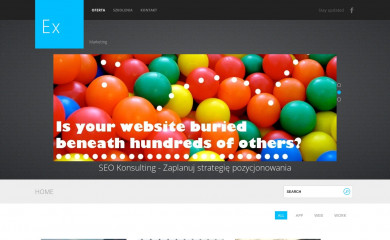 exmarketing.pl screenshot