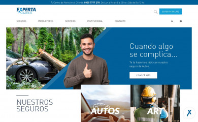experta.com.ar screenshot