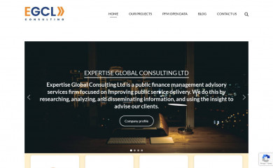 expertise.co.ke screenshot