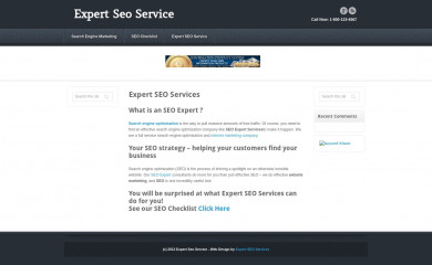 expertseoservice.co.uk screenshot