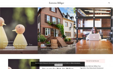extrem-billiger.de screenshot