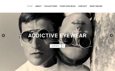 eyegalleryhouston.com screenshot