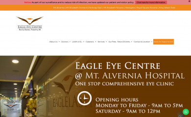 eagleeyecentre.com.sg screenshot