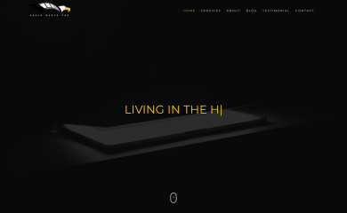 eaglemediapro.com screenshot