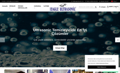 eagleultrasonic.com screenshot