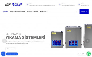 eagleultrasonic.com screenshot