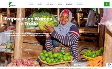 eassi.org screenshot