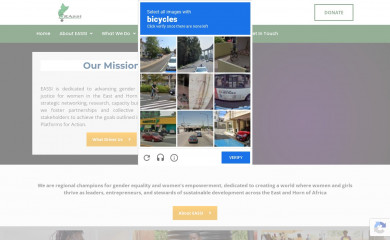 eassi.org screenshot