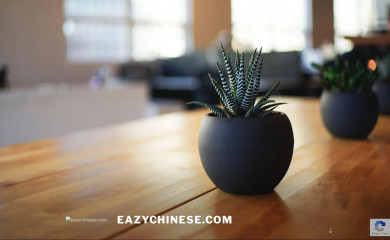eazychinese.com screenshot