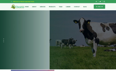 ebeanospecialtyfoodsinc.ca screenshot