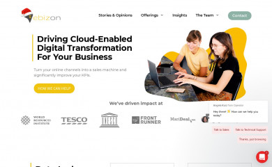 ebizontek.com screenshot