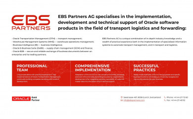 ebspartners.com screenshot