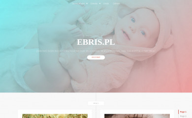 ebris.pl screenshot