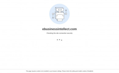 ebusinessintellect.com screenshot