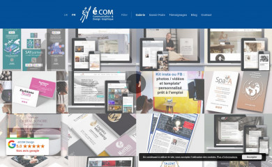 ecom-fr.com screenshot