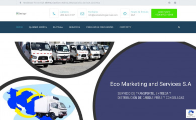 ecomarketingservice.com screenshot