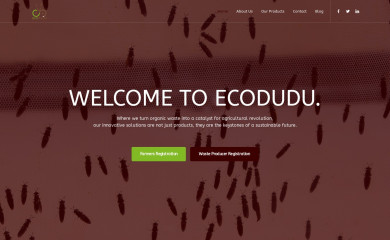 ecodudu.com screenshot