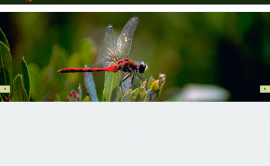 ecofriendspestcontrol.com screenshot