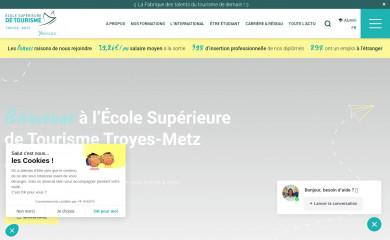 ecolesuperieuretourisme.fr screenshot