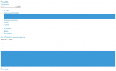 ecostig.com screenshot