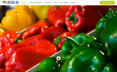eco-si.fr screenshot