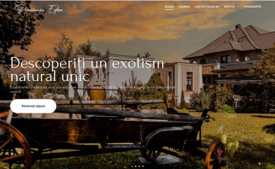 edentur.ro screenshot