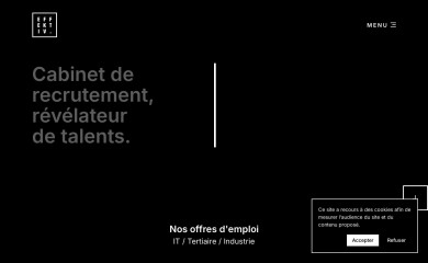 effektiv.fr screenshot