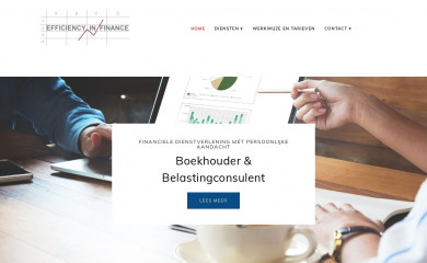 efficiencyinfinance.nl screenshot