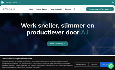 efficient-ai.nl screenshot