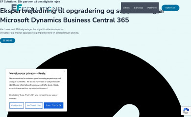 efsolutions.dk screenshot
